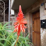 Casa de Férias La Escribana - Casas De Picos *